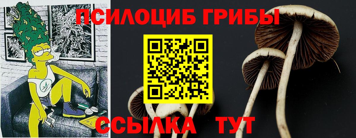 Псилоцибиновые грибы MAGIC MUSHROOMS Старая Купавна