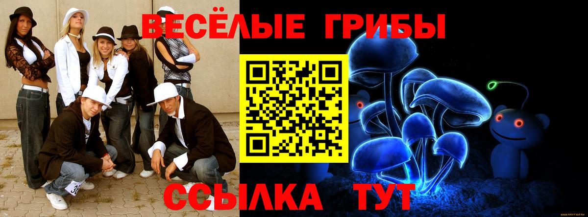 Старая Купавна  Псилоцибиновые грибы мухоморы  Вход с VPN 